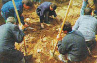 erz_1.jpg (18864 bytes)