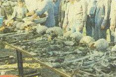 yes_2.jpg (24994 bytes)